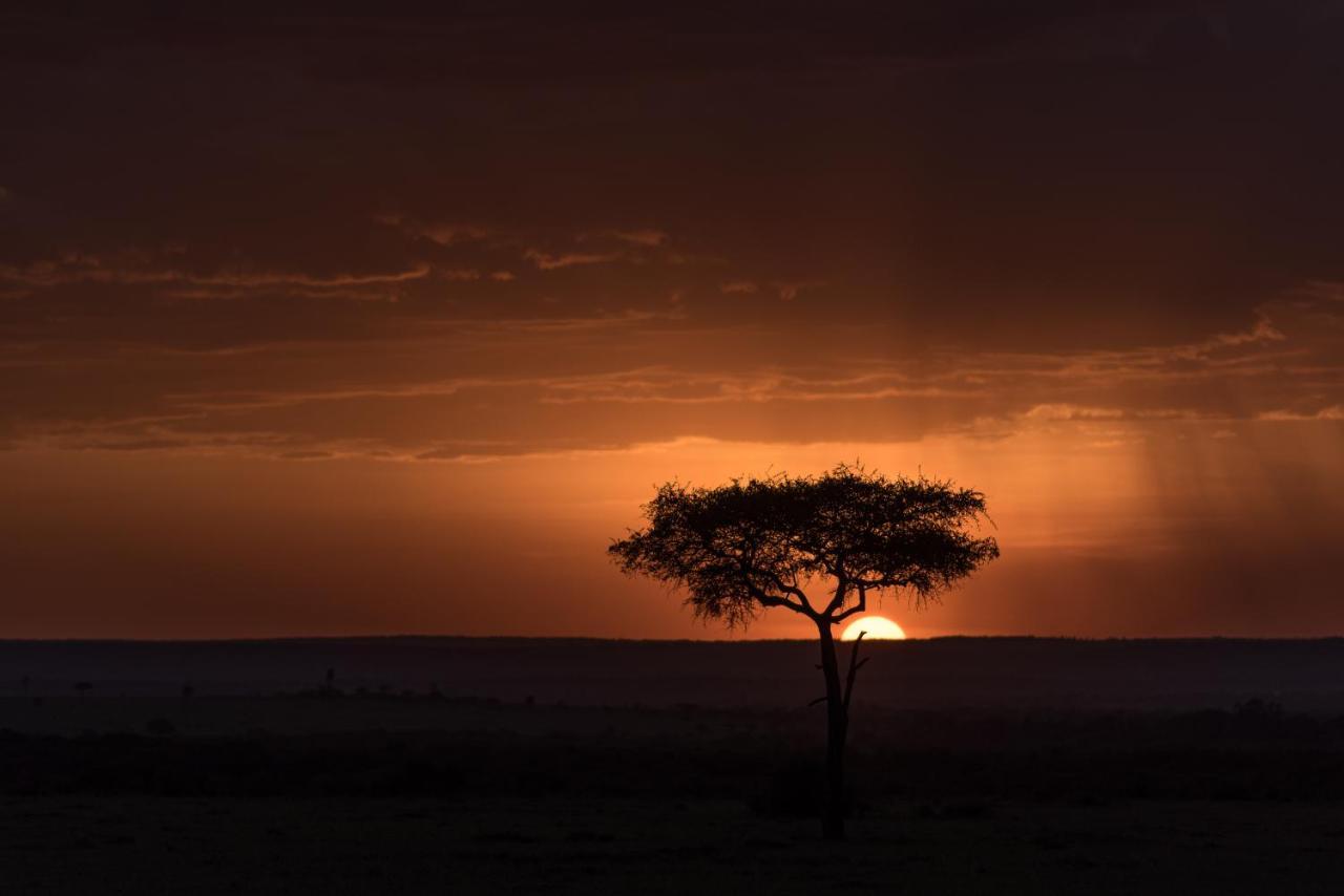 Africa Safari Maasai Boma Villa Серенгети Екстериор снимка