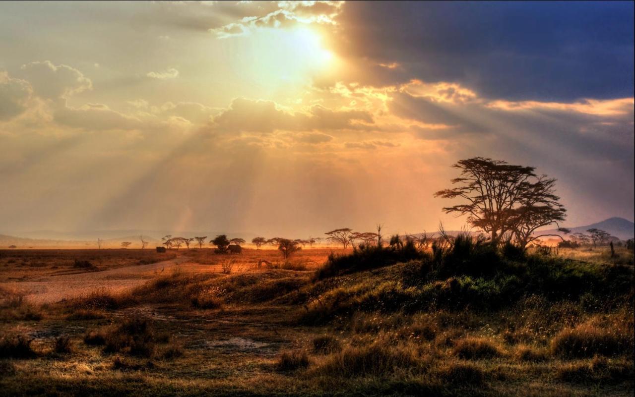 Africa Safari Maasai Boma Villa Серенгети Екстериор снимка